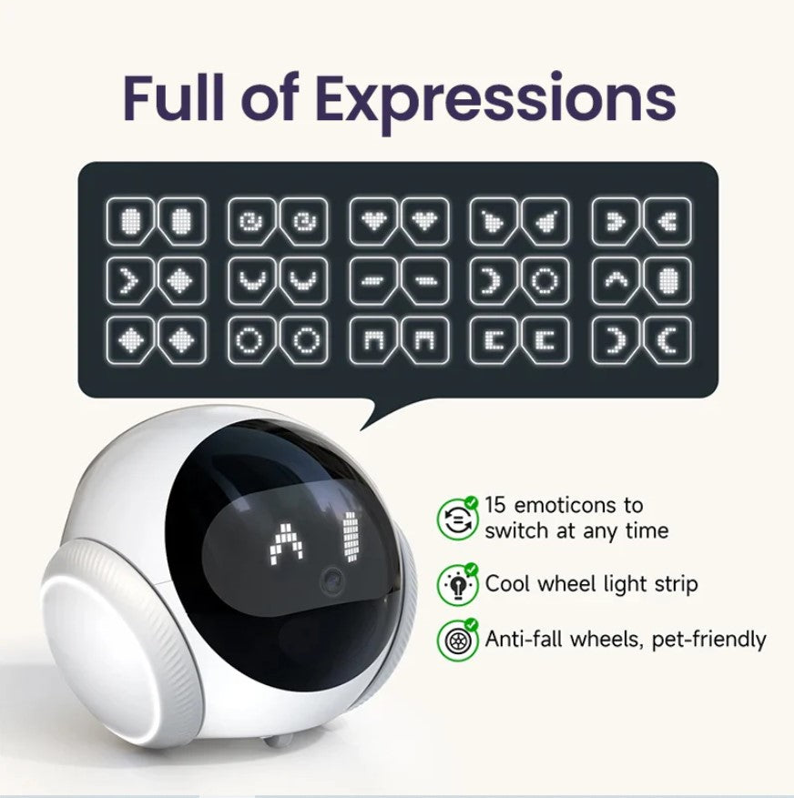 DuoPal™ EmoBot
